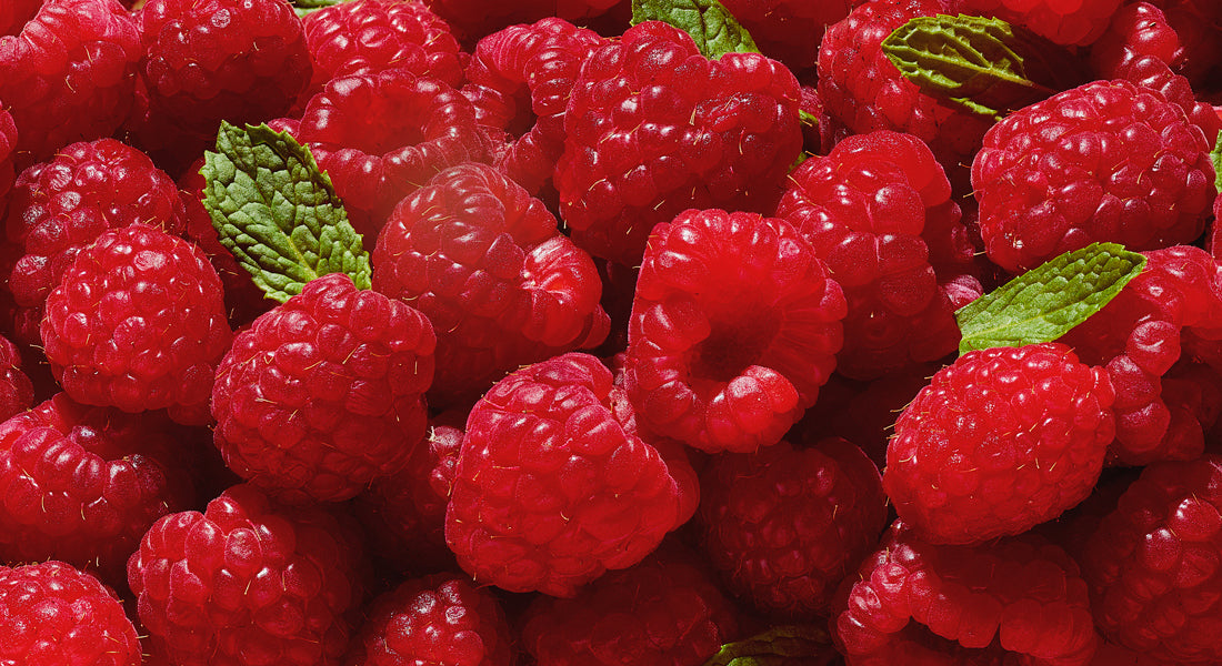Close-up of red raspberries with green leaves
