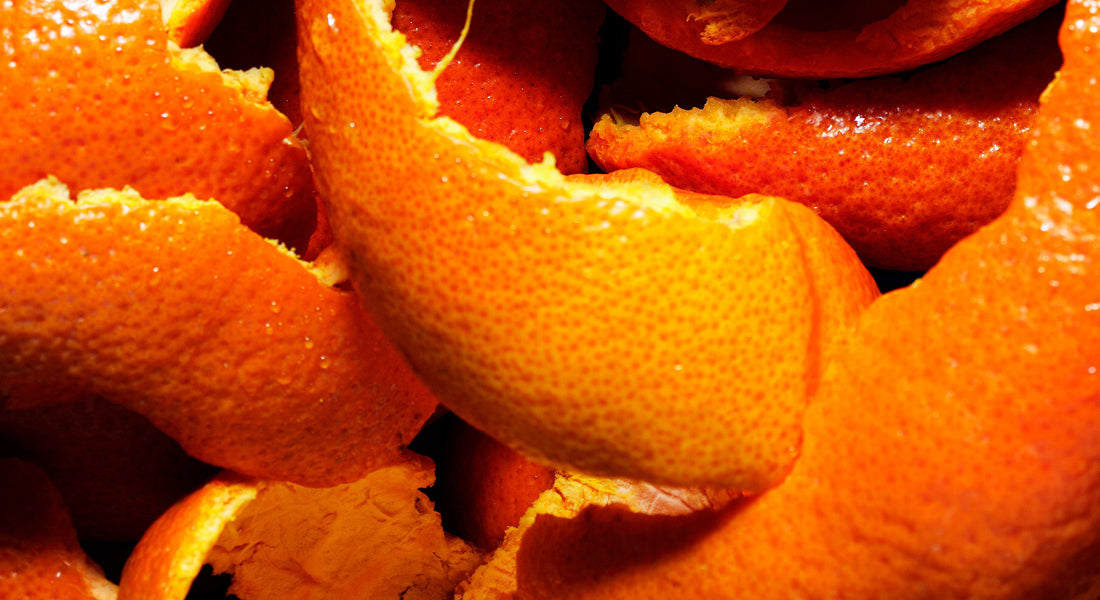 Close up of orange and citrus peels