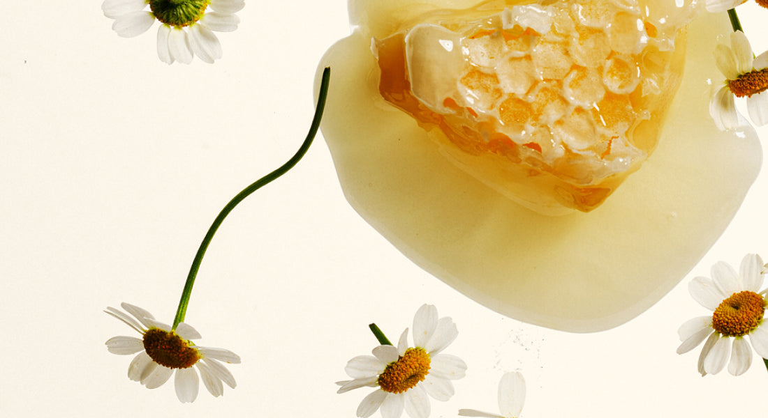 Close-up of a honeycomb with daisies on a light background