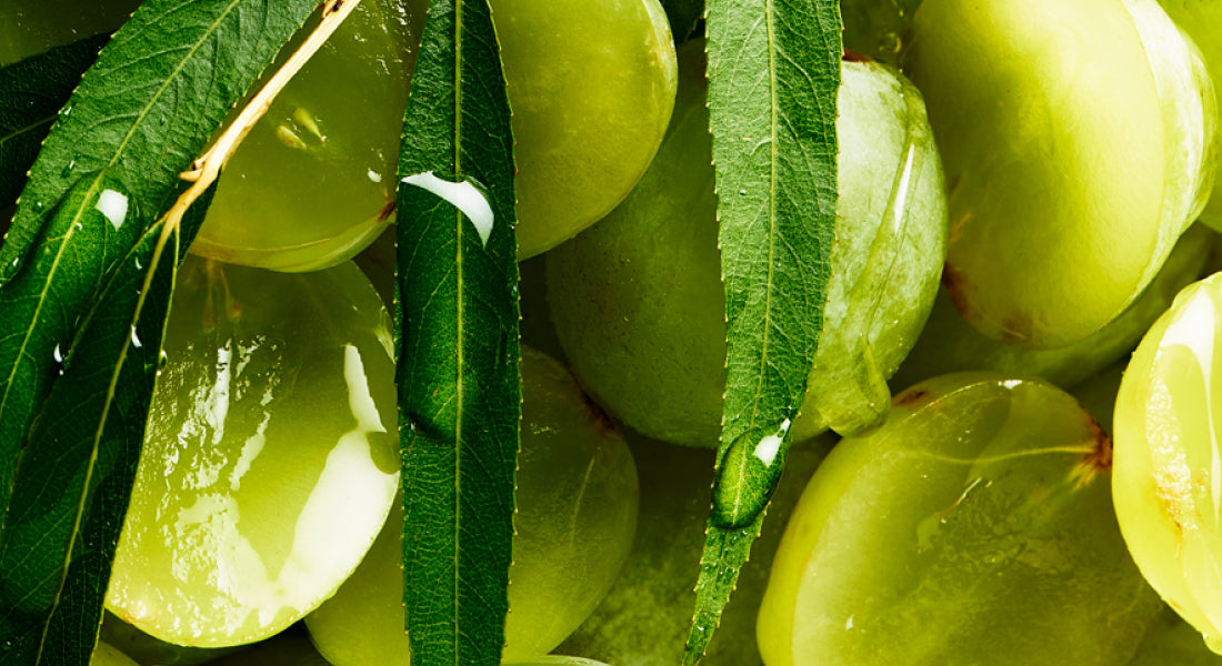 Close-up of green grapes with leaves and water droplets