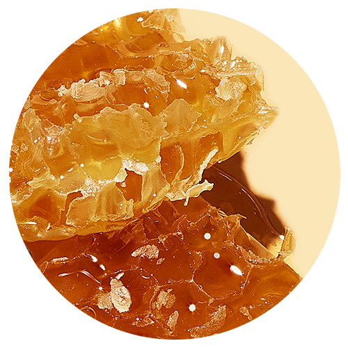 Icon of beewax