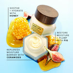 Honey Halo ingredient Callout, Honey, Ceramides and Fig