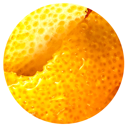 Close-up of a lemon peel on a white background