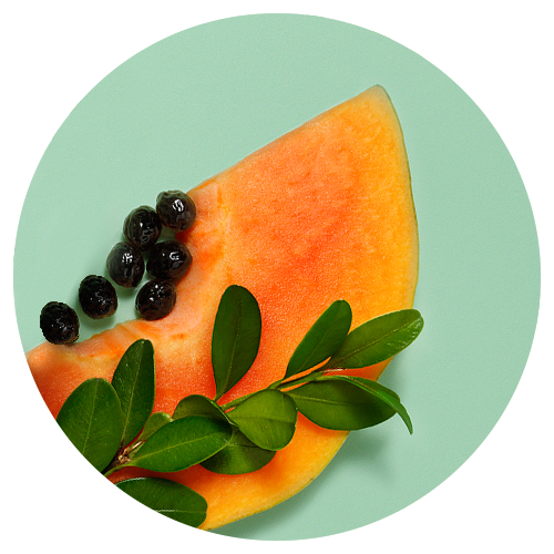 Close up image of a papaya and moringa