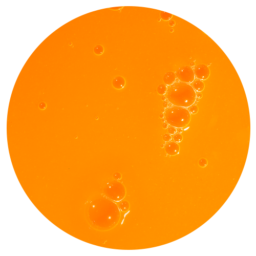Close up image of papaya extract ingredient