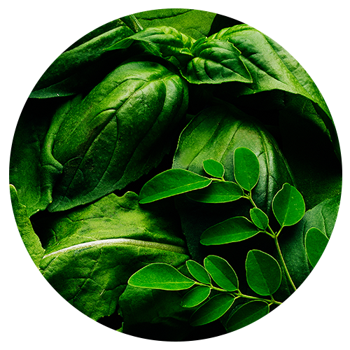 Super Greens Blend Close Up Image