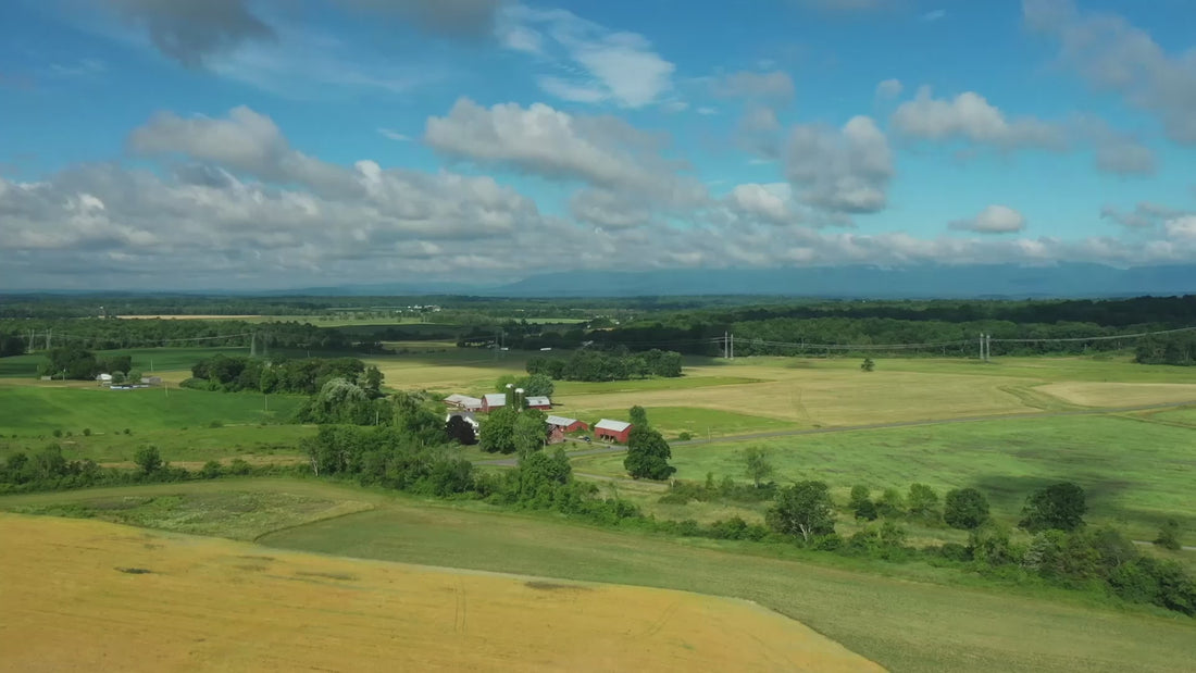 Brand Video introducing Farmacy Beauty’s story, highlighting natural ingredients, scientific skincare innovation, and sustainable practices.